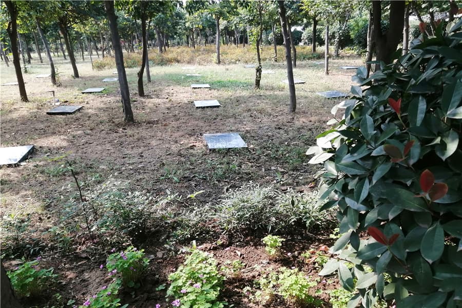 墓区环境图
